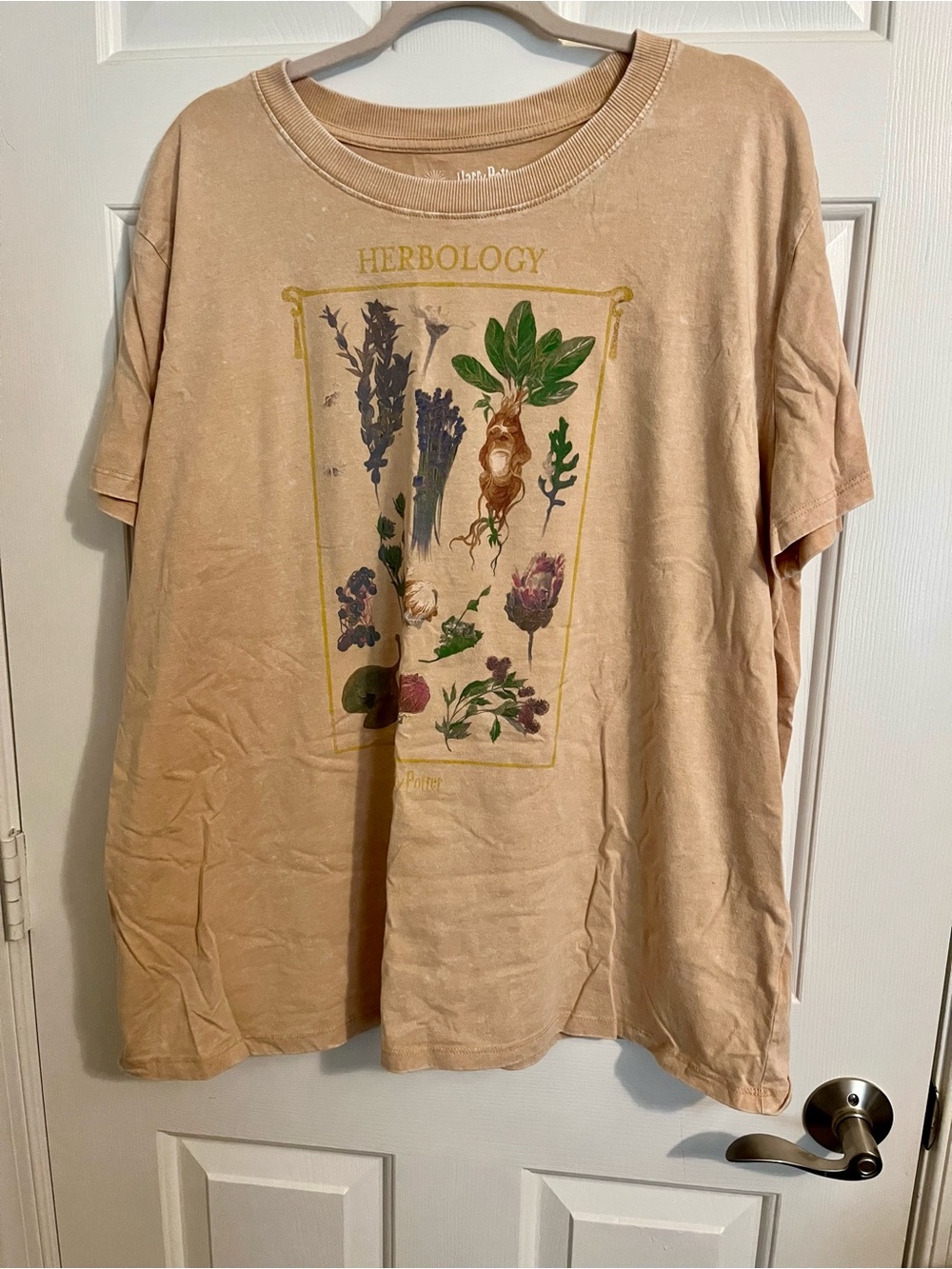Women’s Herbology Graphic Tee - Beige Botanical Print Harry Potter Size XXL